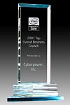 intel2007 BuzGrowth Overall