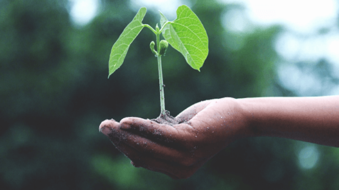 Eco Green Initiatives & Emissions Control