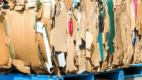 Sustainabiltiy, Waste Reduction & Recycling